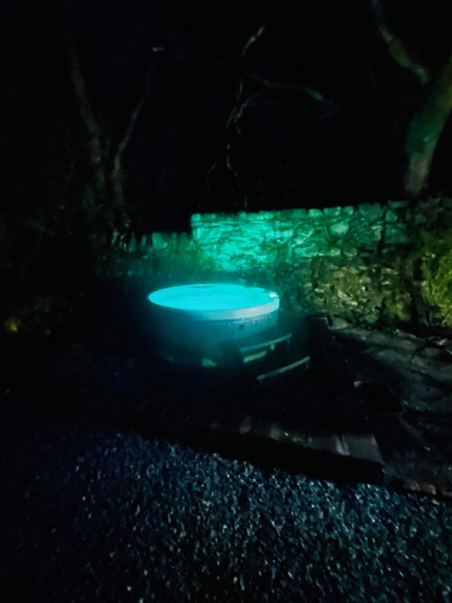 Tiny Romantic Retreat With Hot Tub On A Country Estate Near Cardigan Bay In Eryri Snowdonia Llanbedr  Ngoại thất bức ảnh