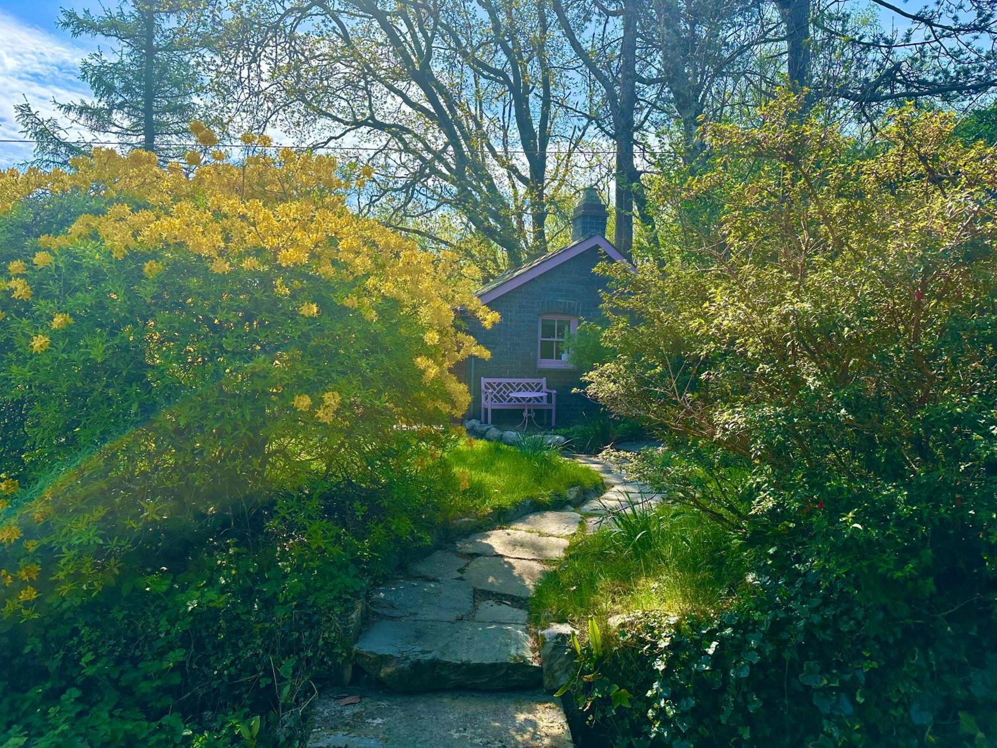 Tiny Romantic Retreat With Hot Tub On A Country Estate Near Cardigan Bay In Eryri Snowdonia Llanbedr  Ngoại thất bức ảnh
